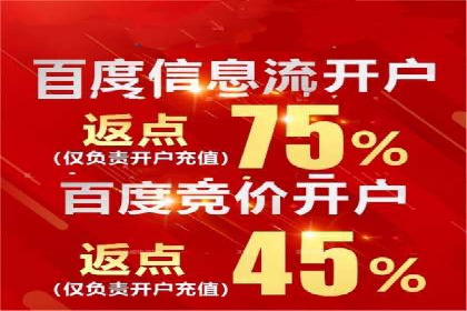 热门充值高返点平台案例分析